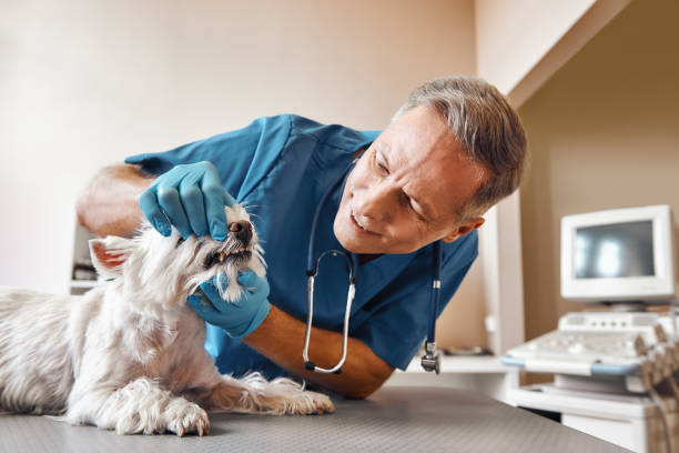 Best Walk-In Emergency Dentist in Oak Island, NC